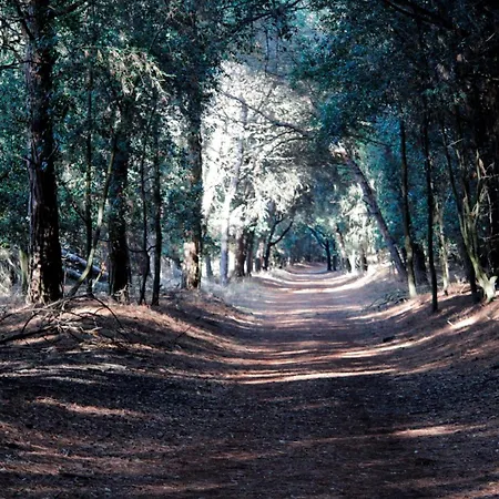 Maria 3 Appartamento *