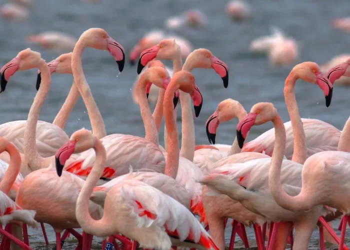 Maria 3 ليدو دي بومبوسا