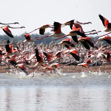 Apartamento Maria 3 *