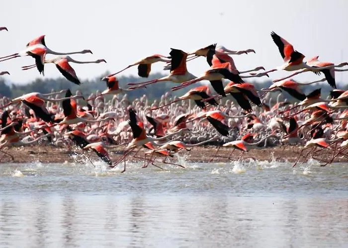 Apartamento Maria 3 *