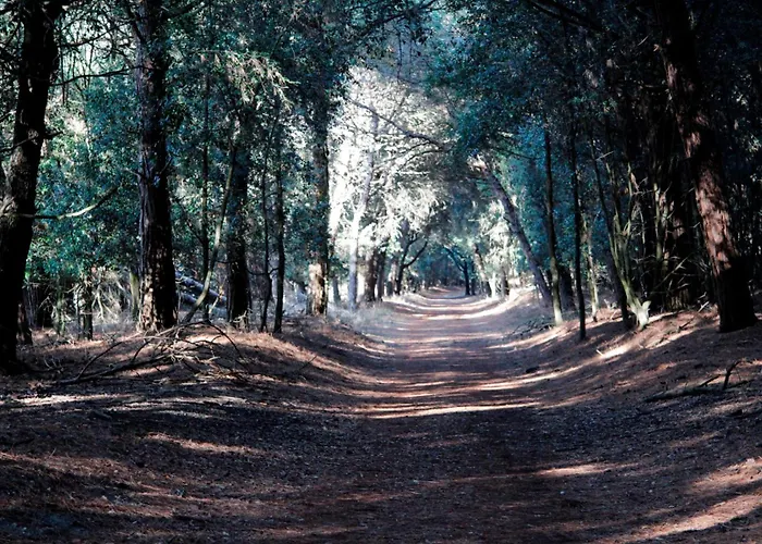 Maria 3 Appartement *